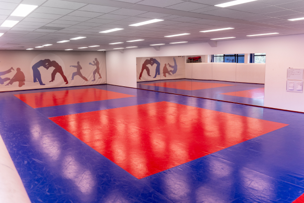 Dojo